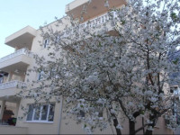 Villa Lelas