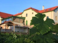 Vinohrad Hotel 