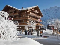 Adler Adelboden 3*
