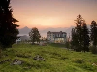Hotel Villa Honegg 5*