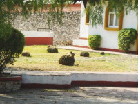 Parador Vernal