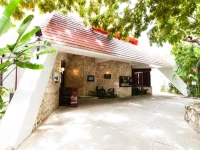 Mision Palenque 3*