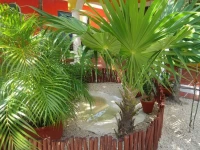 El Acuario Hotel 3*
