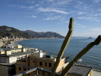 Ambassador Laigueglia