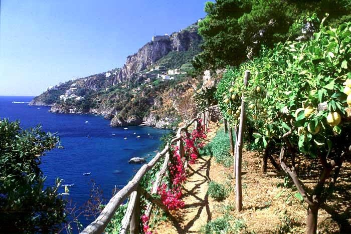 Dei Cavalieri 3*