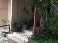 Vida Tropical Bed and Breakfast 