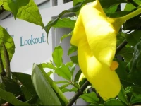 Hotel Lookout Playa Tortuga Ojochal 3*