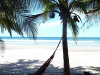 La Palapa 