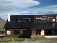Condor De Los Andes 