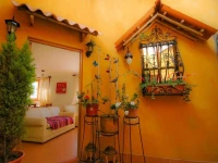 Provenzal 3*