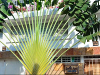 Casa Hotel Jardin Azul