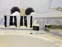 Pocitos Plaza Hotel 4*