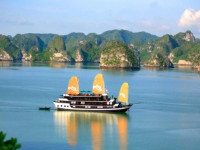 Paradise Luxury