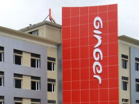 Ginger Hotel Goa