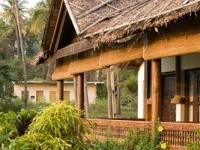 Palm Tree Heritage 3*