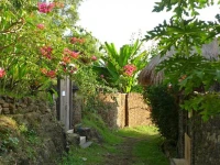 Bloo Lagoon Village 4*