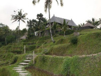 Dara Ayu Villas and Spa