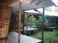 Rimba Orangutan Eco Lodge