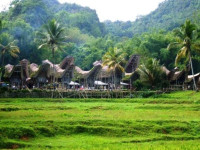 Toraja Misiliana Hotel