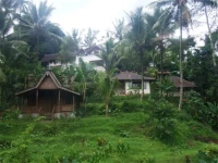 Villa Nirmala 2*