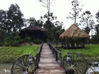 Bong Thom Homestay 