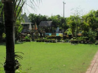 Orchid Hibiscus Guest House