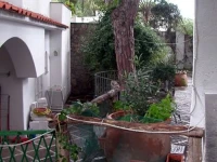 Villa Cinque Pini 3*