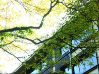 Grand View Resort Beitou