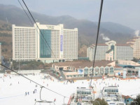 Daemyung Resort Vivaldi Park