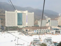 Daemyung Resort Vivaldi Park 5*
