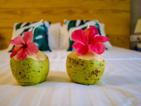 Ohana Maldives hotel