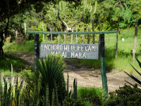 Enchoro Wildlife Camp Masai Mara