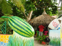 Dhon Fulhafi Inn