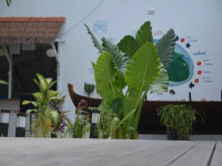 Dive Villa Thoddoo