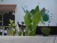 Dive Villa Thoddoo 