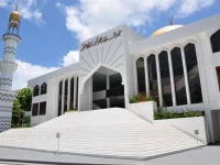 Novina 3*
