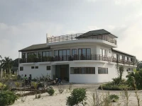 Olive Goidhoo 