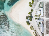 One The Island