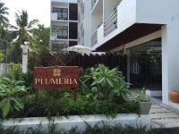 Plumeria Maldives 