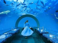 You &amp; Me Maldives