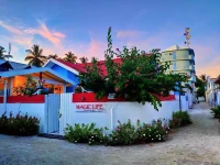 Magic Life Guest House 3*