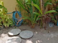 Maafushi Guest House