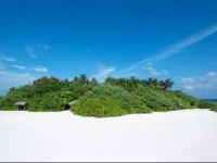 Rindha Retreats 