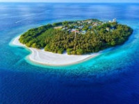The Local Stay Madives at Kamadhoo Island