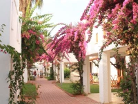 Club Kastalia Holiday Village 5*