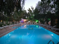 Okaliptus 3*