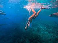 FIHALHOHI MALDIVES (EX. FIHALHOHI ISLAND RESORT)