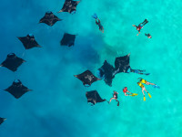SWARN BY HAWKS HOTELS (ex. CLARKS EXOTICA KAMADHOO MALDIVES)
