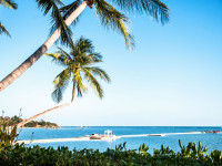 THE LAMAI SAMUI