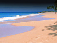 OM SAI BEACH HUTS AGONDA